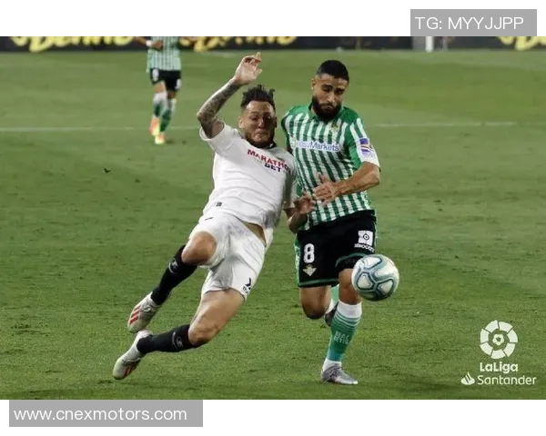 武汉网球队在洲际杯积分榜上以90分稳居第一名展现强劲实力